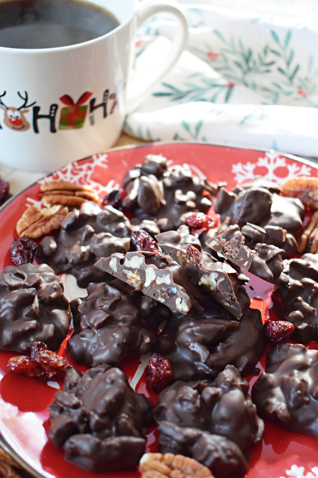 Chocolate Pecan Cranberry Clusters Julia S Cuisine