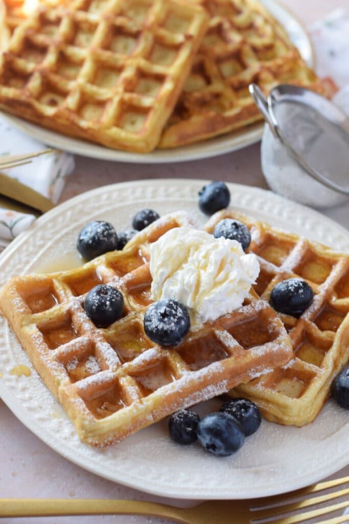 Close up of waffles with whipped cream and blueberries.