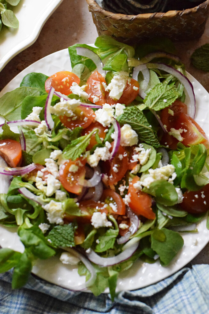 Close up of tomato feta mint salad.