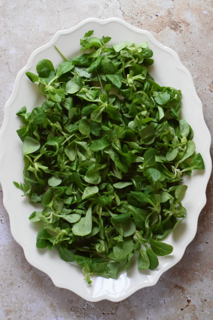 Salad leaves on a plate.