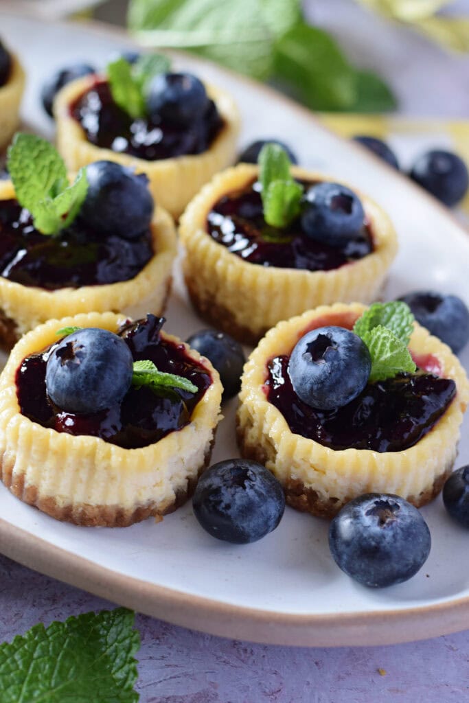 Blueberry cheesecakes on a white serving plate.