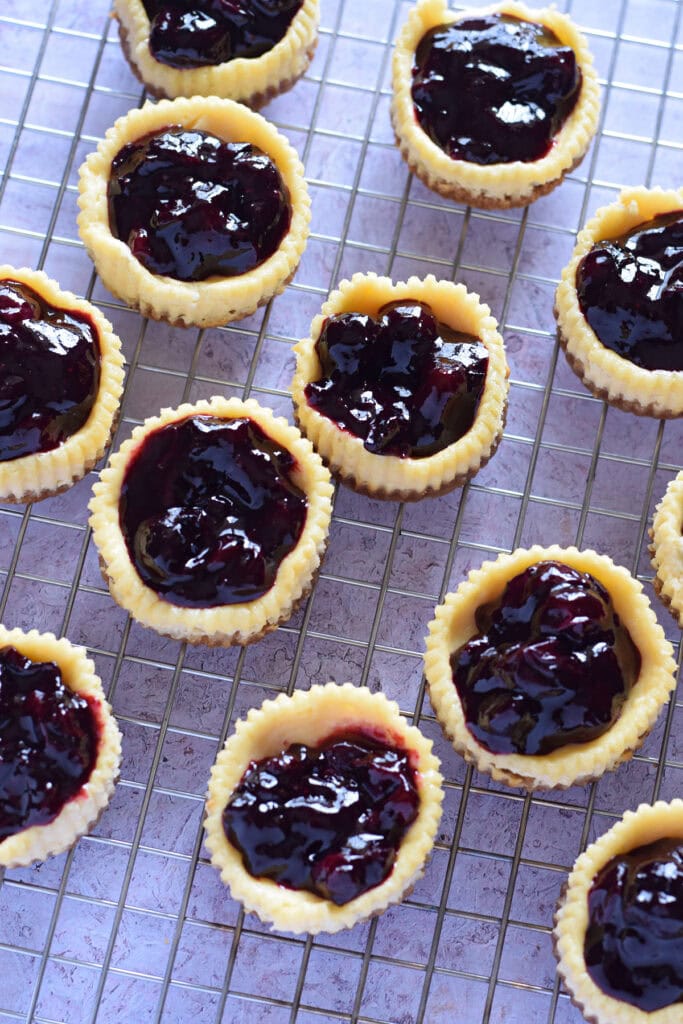 Mini blueberry cheesecakes on a cooling rack.