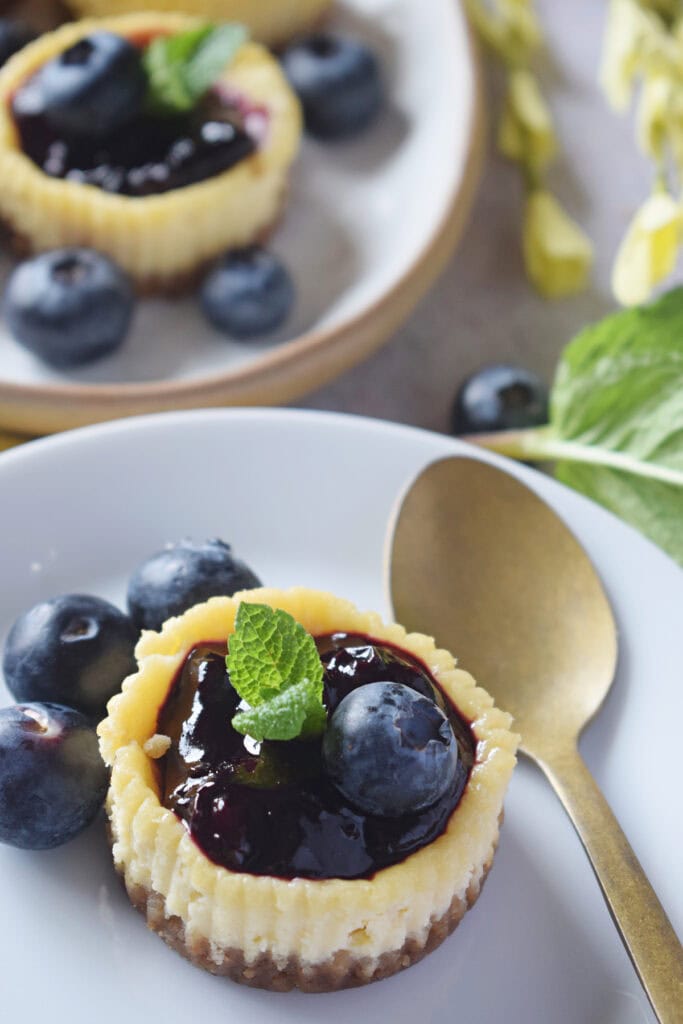 Close up of mini blueberry cheesecake on a white serving plate.