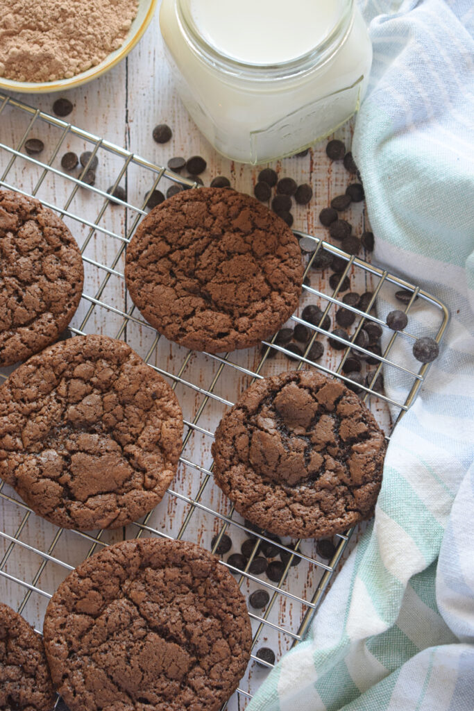 Double chocolate cookies on a baking tray.