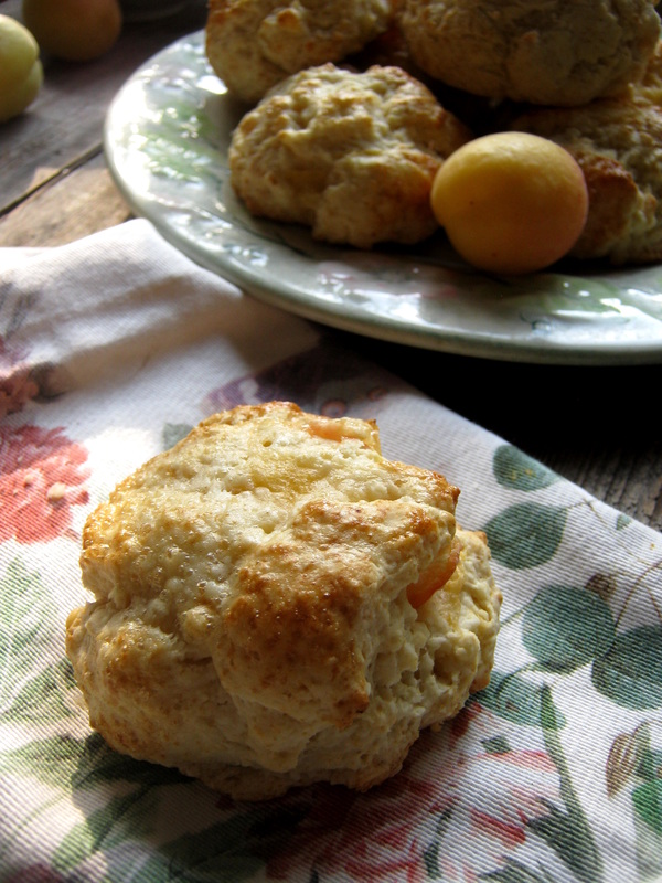 Close up of the fresh apricot scones