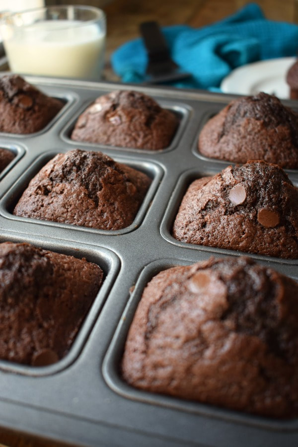 Double Chocolate Buttermilk Muffins Julias Cuisine