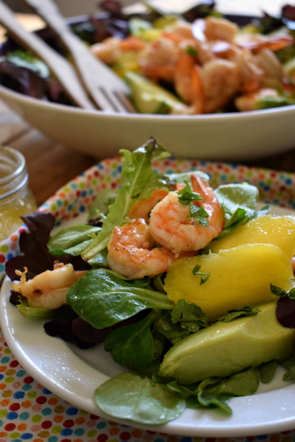 Close up of the Tropical Shrimp Salad