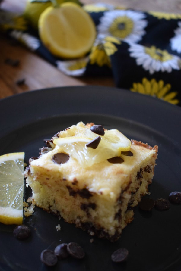 Close up view of the Chocolate Chip Lemon Squares