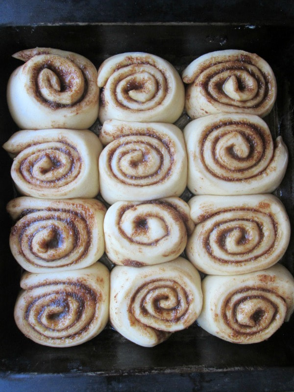 Anadama Cinnamon Rolls - The Creekside Cook