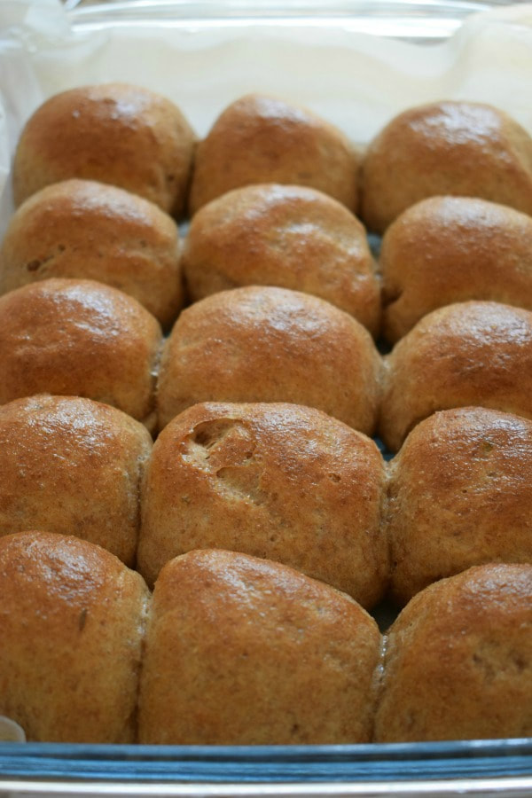 whole wheat dinner rolls in a baking tray