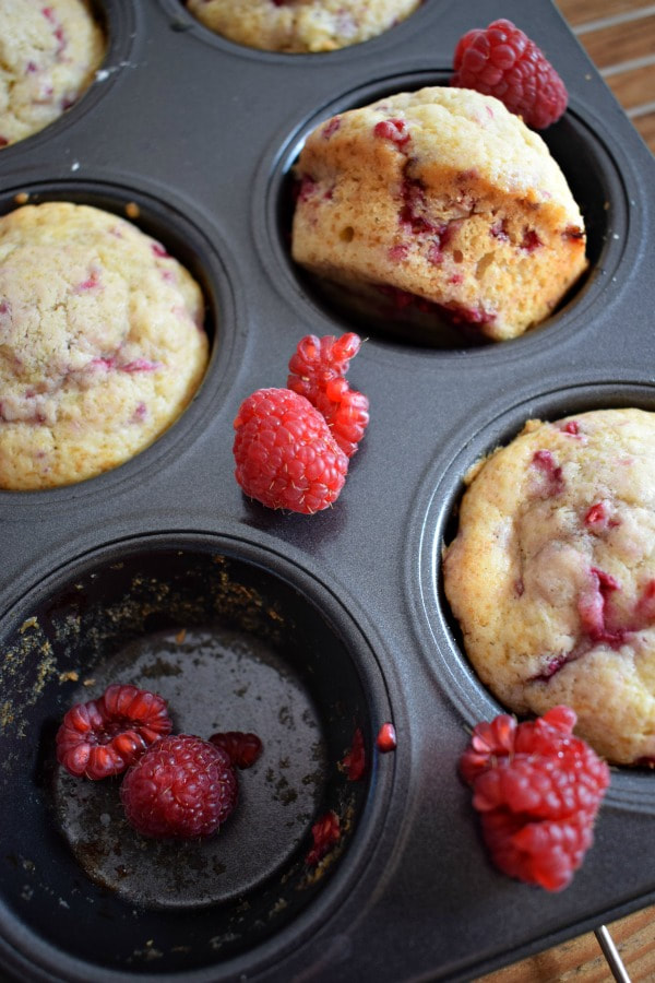 close up of the greek yogurt muffins in a baking tray