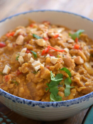 close up of the red lentil curry