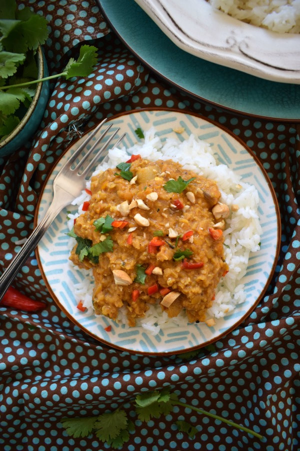 over head view of the red lentil curry