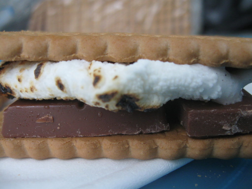 close up of a smore