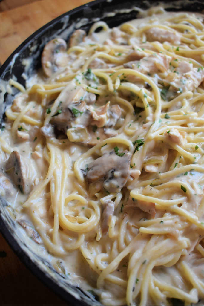 Close up of the classic Turkey Tetrazzini