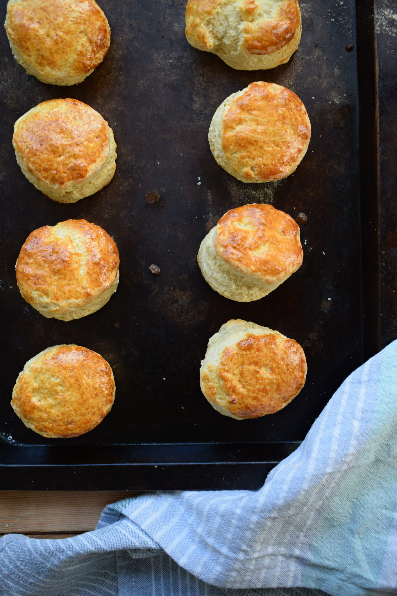 Light & Fluffy Scones - Julia's Cuisine