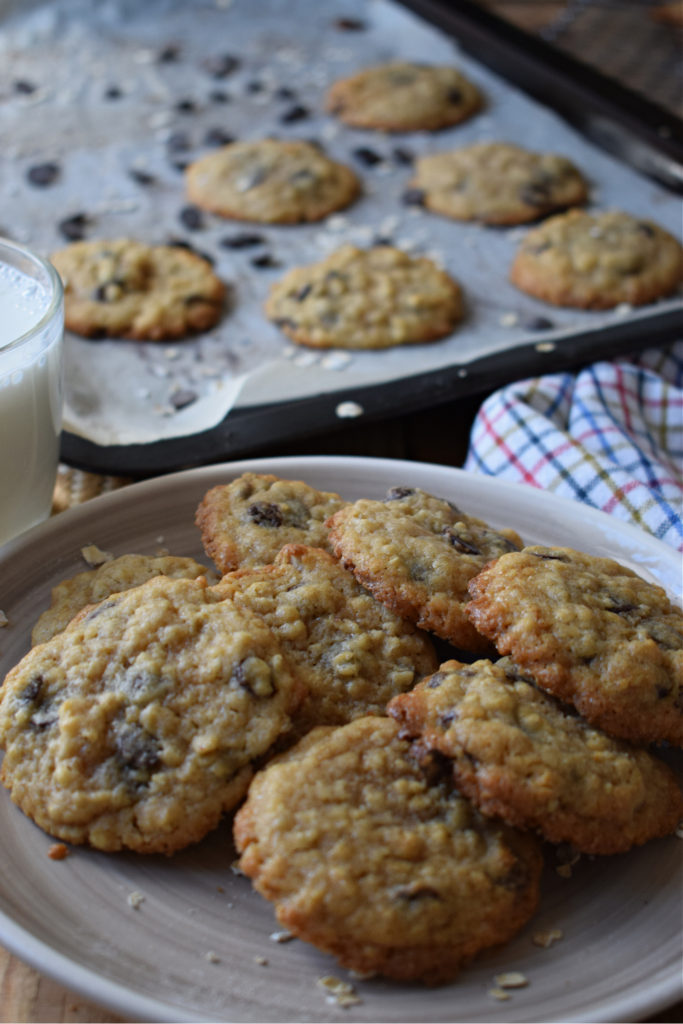 Chocolate chip oatmeal cookies on a plate with cookies in the background on a tray