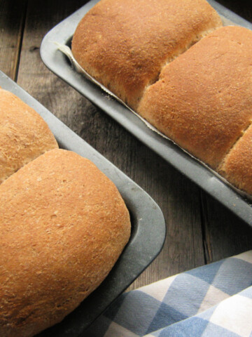 bread loaves in their baking tins