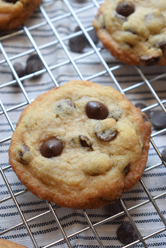 a freshly baked chocolate chip cookie