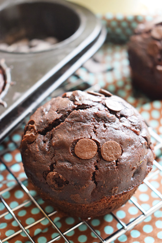 close up of a double chocolate zucchini muffin