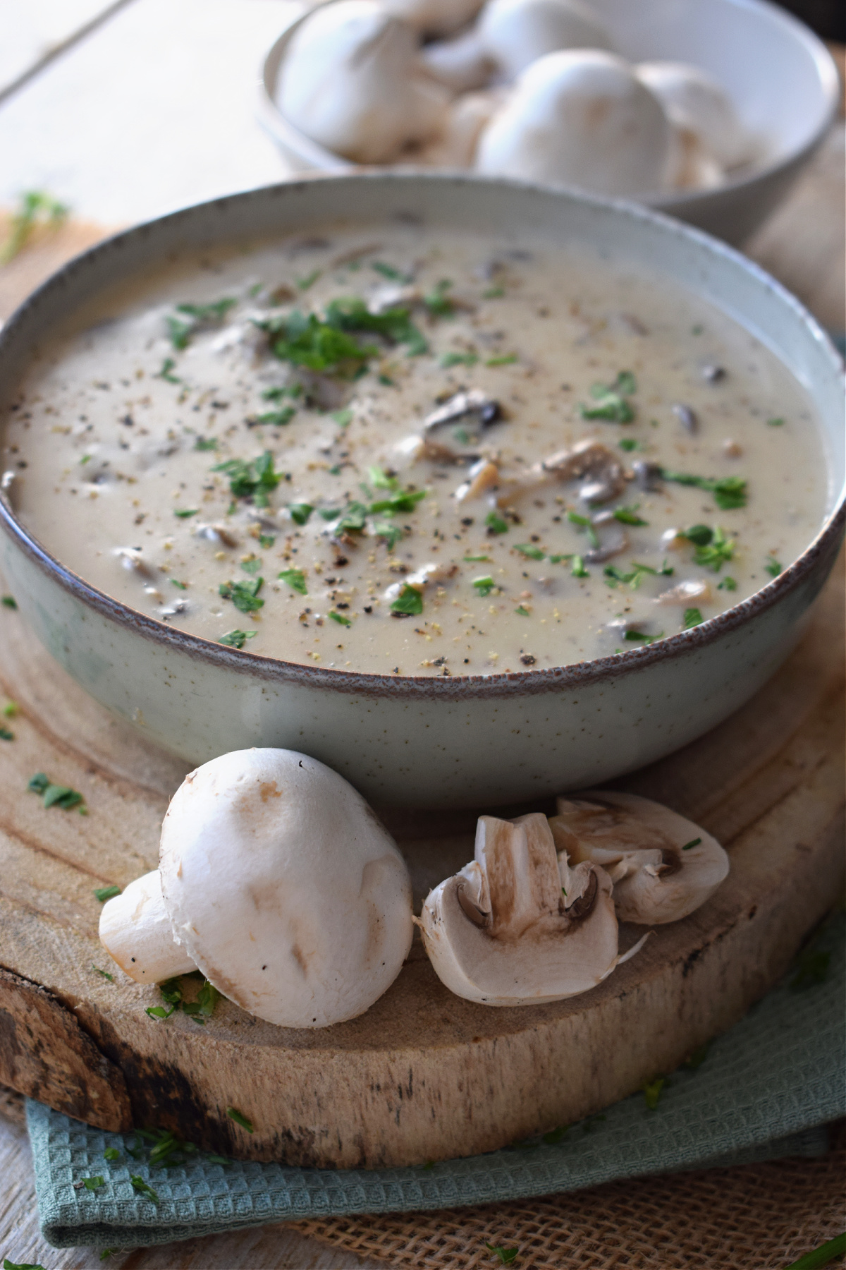 mushroom sauce in a bowl with mushrooms and parsley