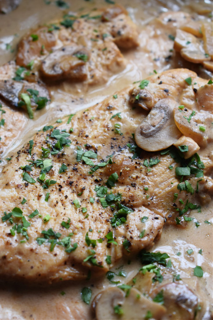 close up of the creamy turkey and mushrooms in a white wine sauce.