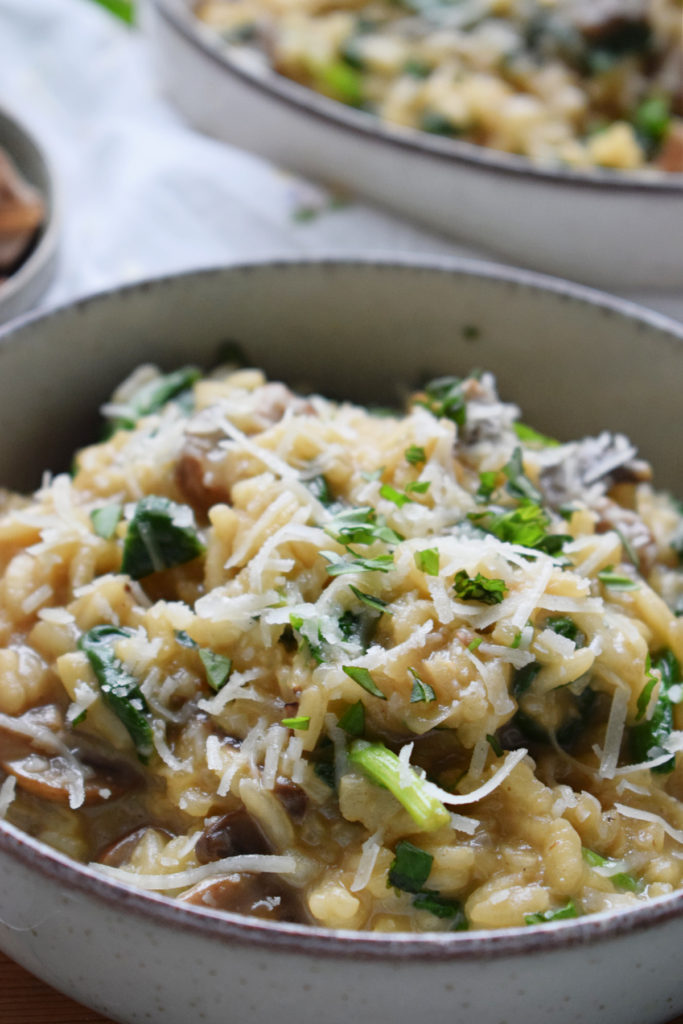 close up of the mushroom risotto