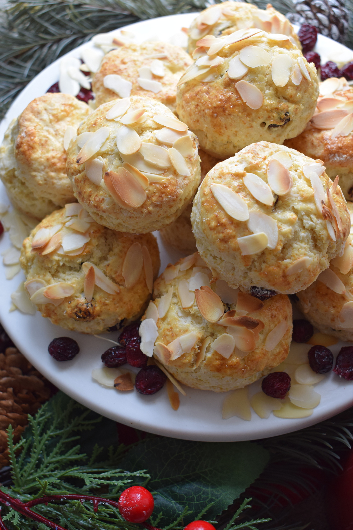 Fryin' Pan Bread Scones with Cranberries