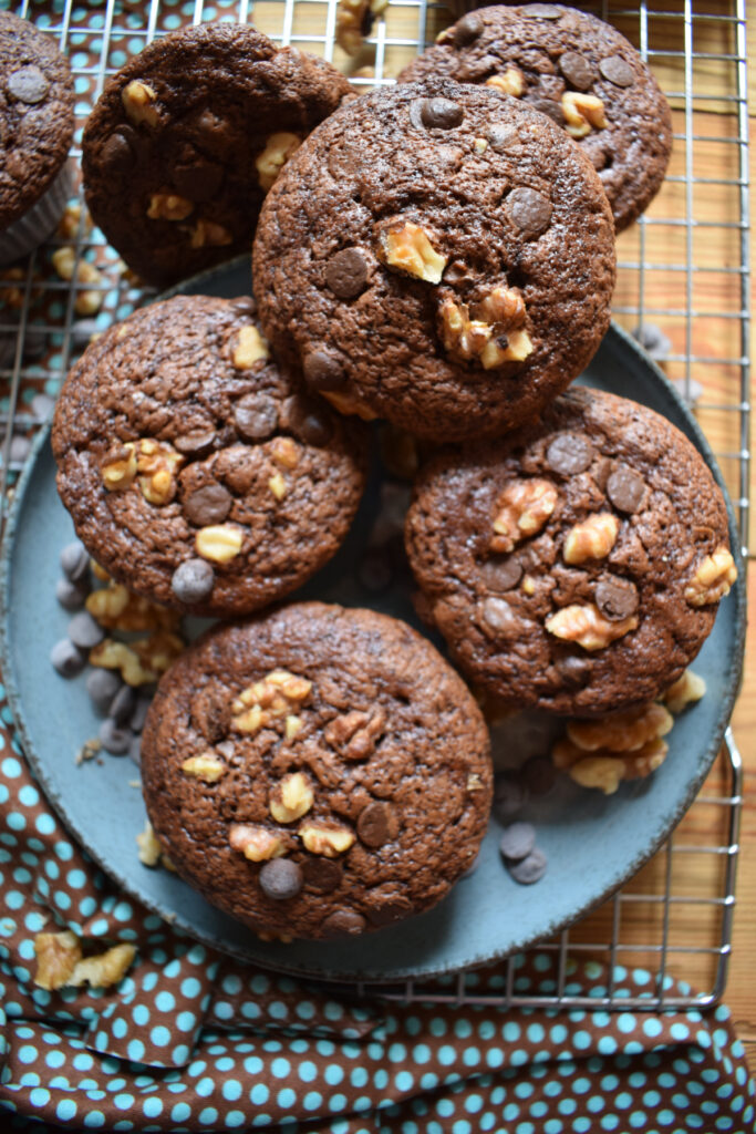 Chocolate walnut muffins on a blue plate.