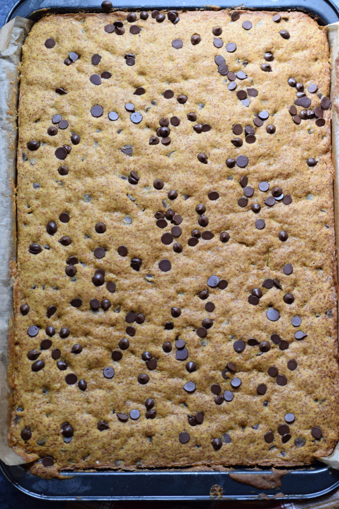 Chocolate chip pumpkin cookie bars just baked.