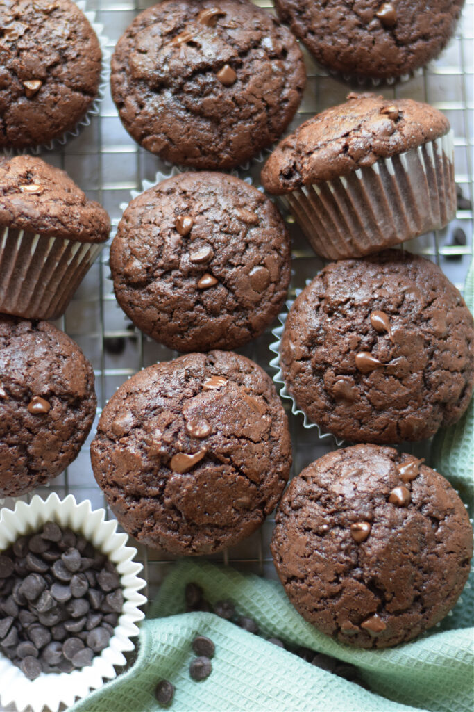 Double chocolate chip muffins on a tray.