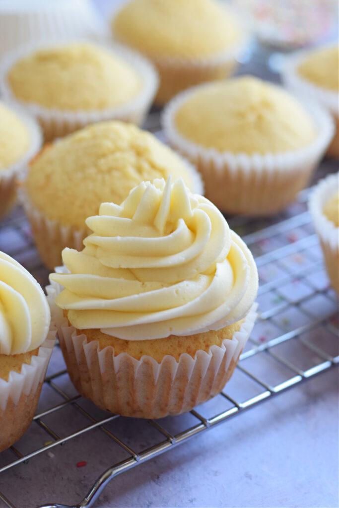 Frosted vanilla cupcakes with vanilla frosting.