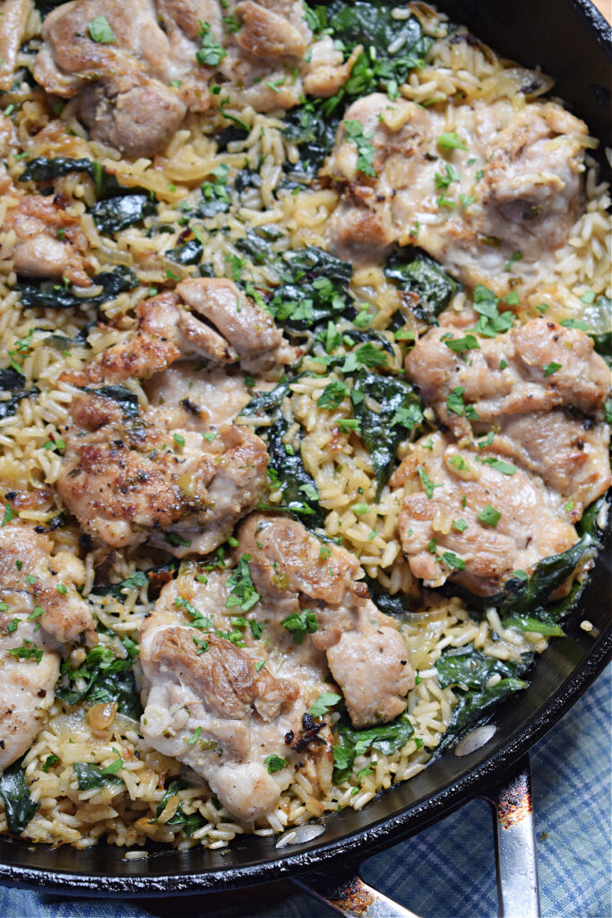 Close up of skillet chicken and rice.