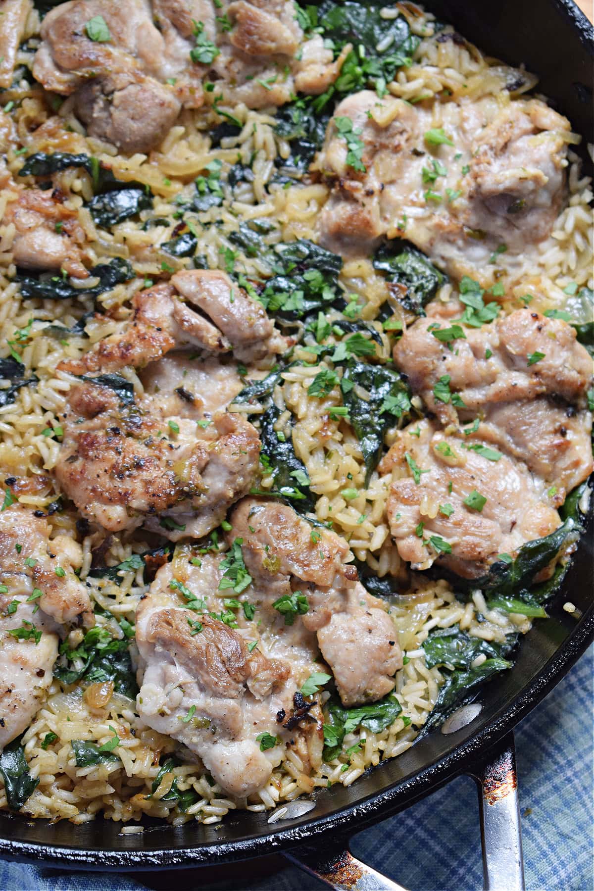 Chicken And Rizz French French Onion Chicken and Rice - Julia's Cuisine