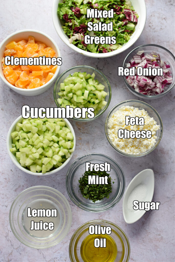 Ingredients to make citrus winter salad.