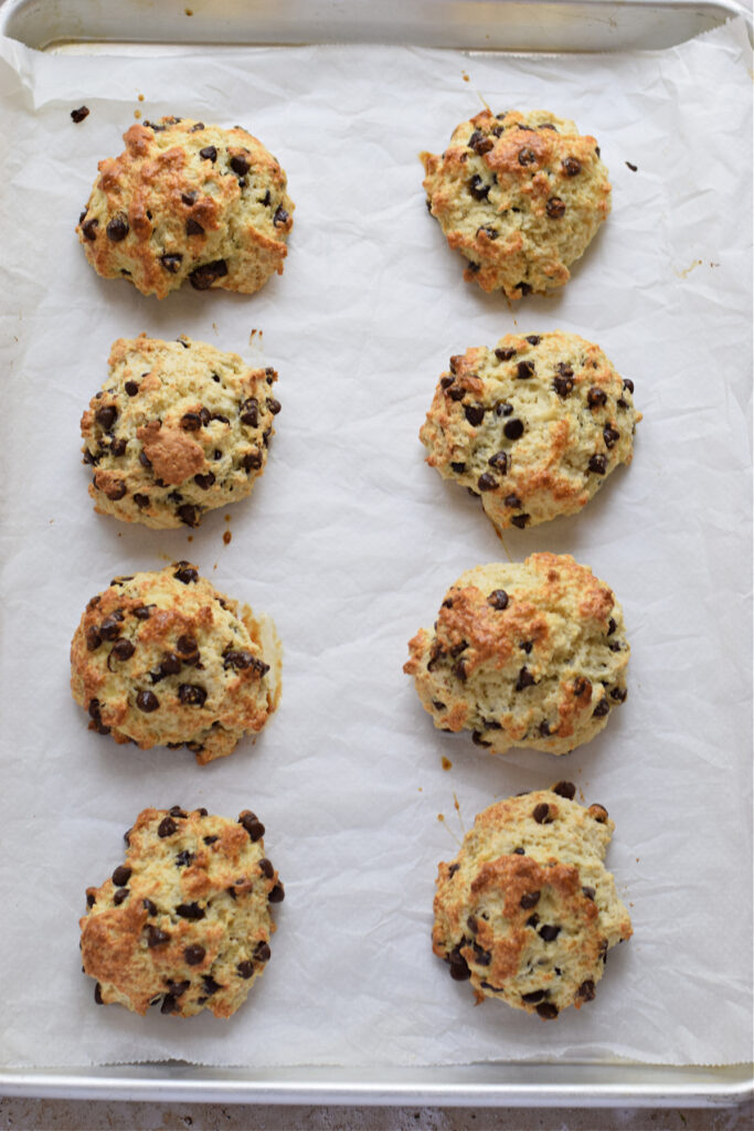 Baked chocolate chip scones on a tray.