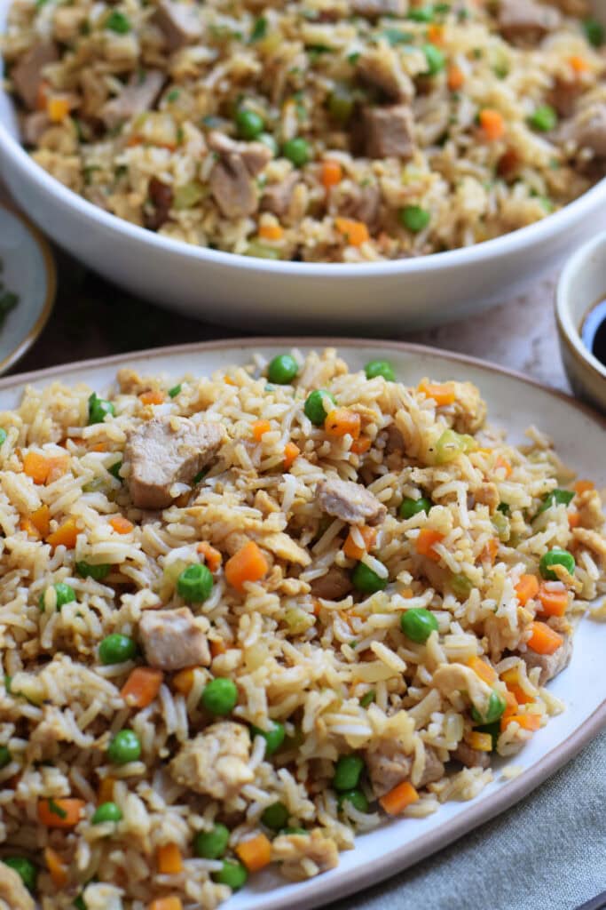 Close up of pork fried rice.