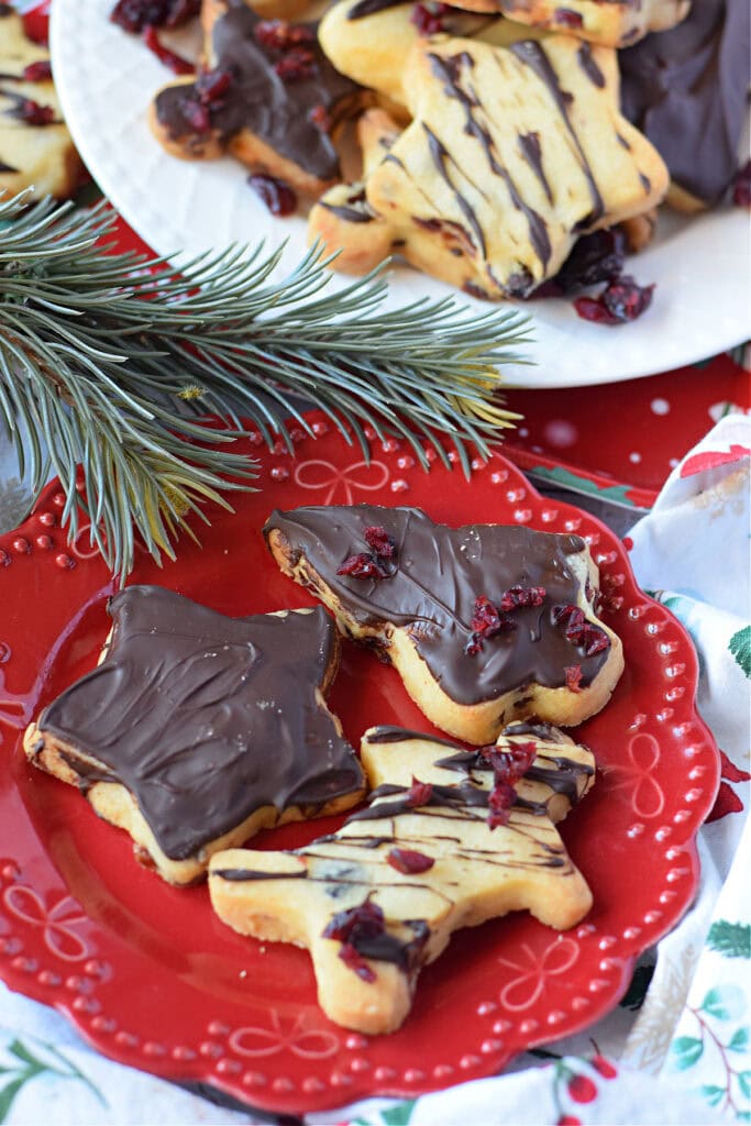 Dark chocolate cranberry shortbread.