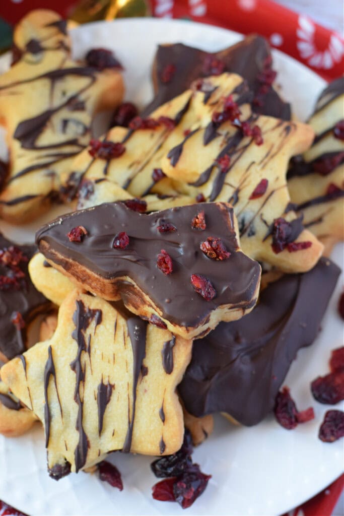 Closeup of chocolate cranberry shortbread.