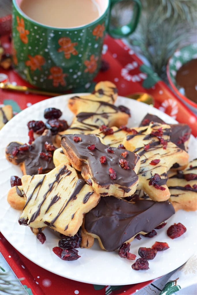 Close up of shortbread with chocolate and cranberries.