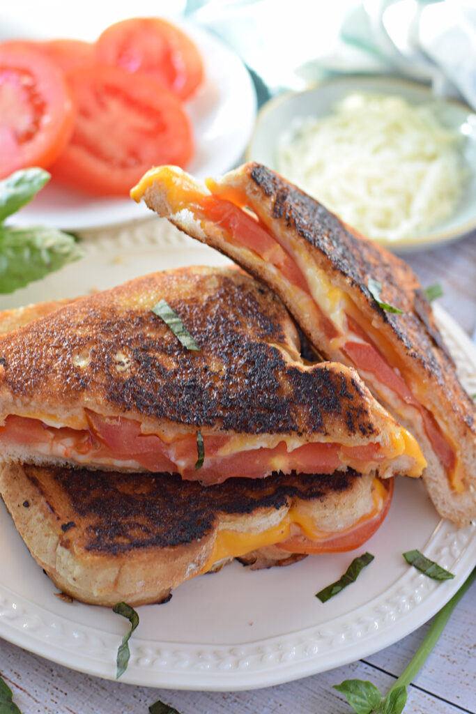 Tomato grilled cheese sandwich on a white plate.