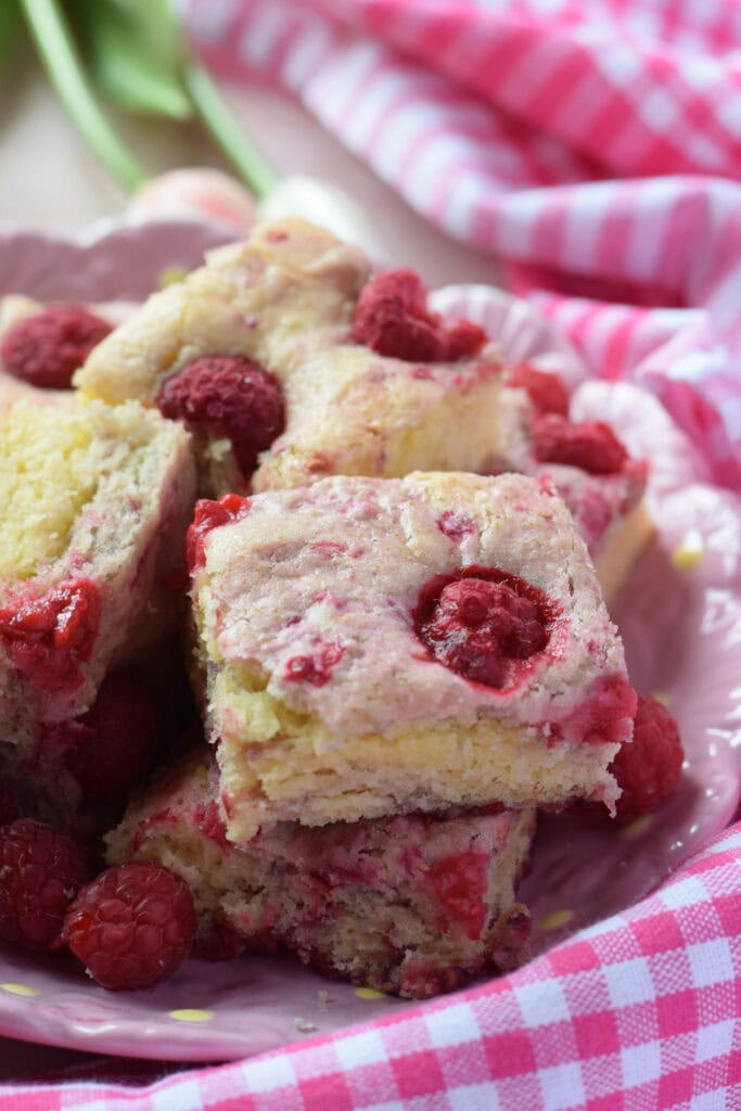 Close up of raspberry cake squares.