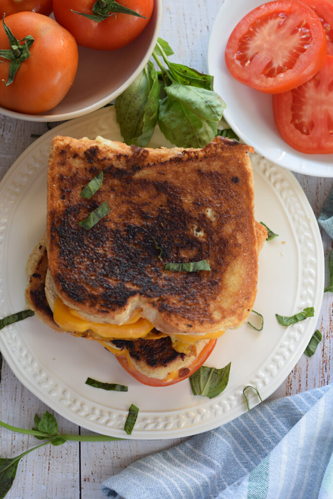 Tomato grilled cheese on a white plate with basil.
