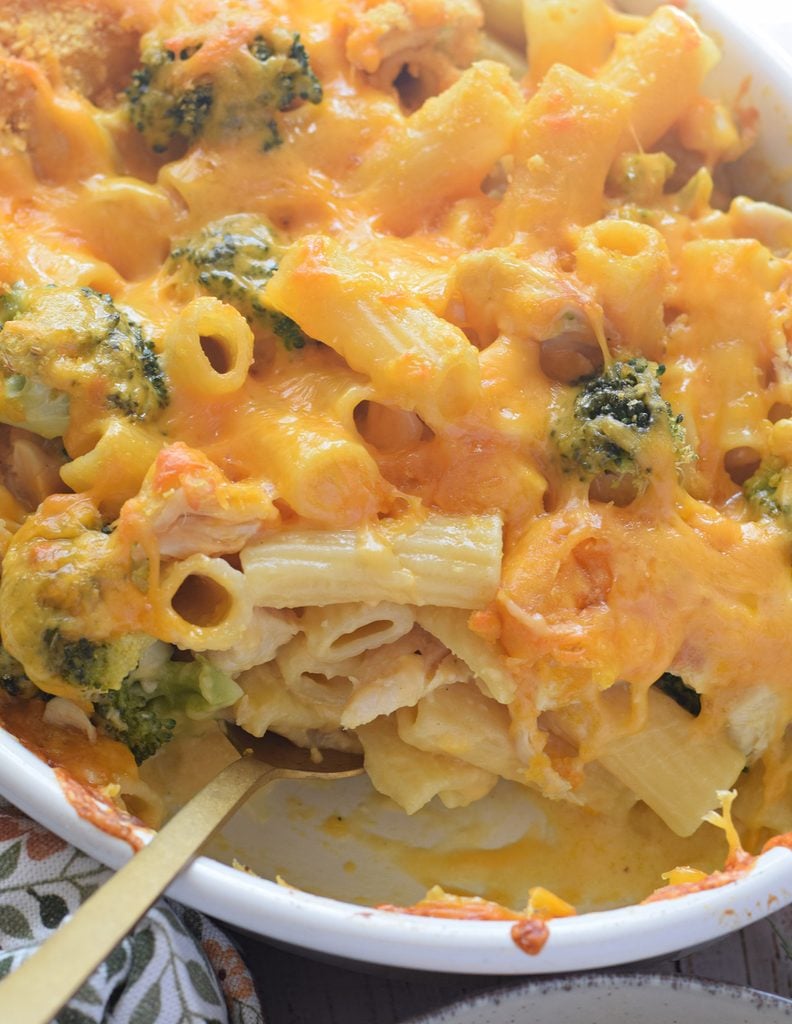 Close up of chicken cheddar pasta dish.