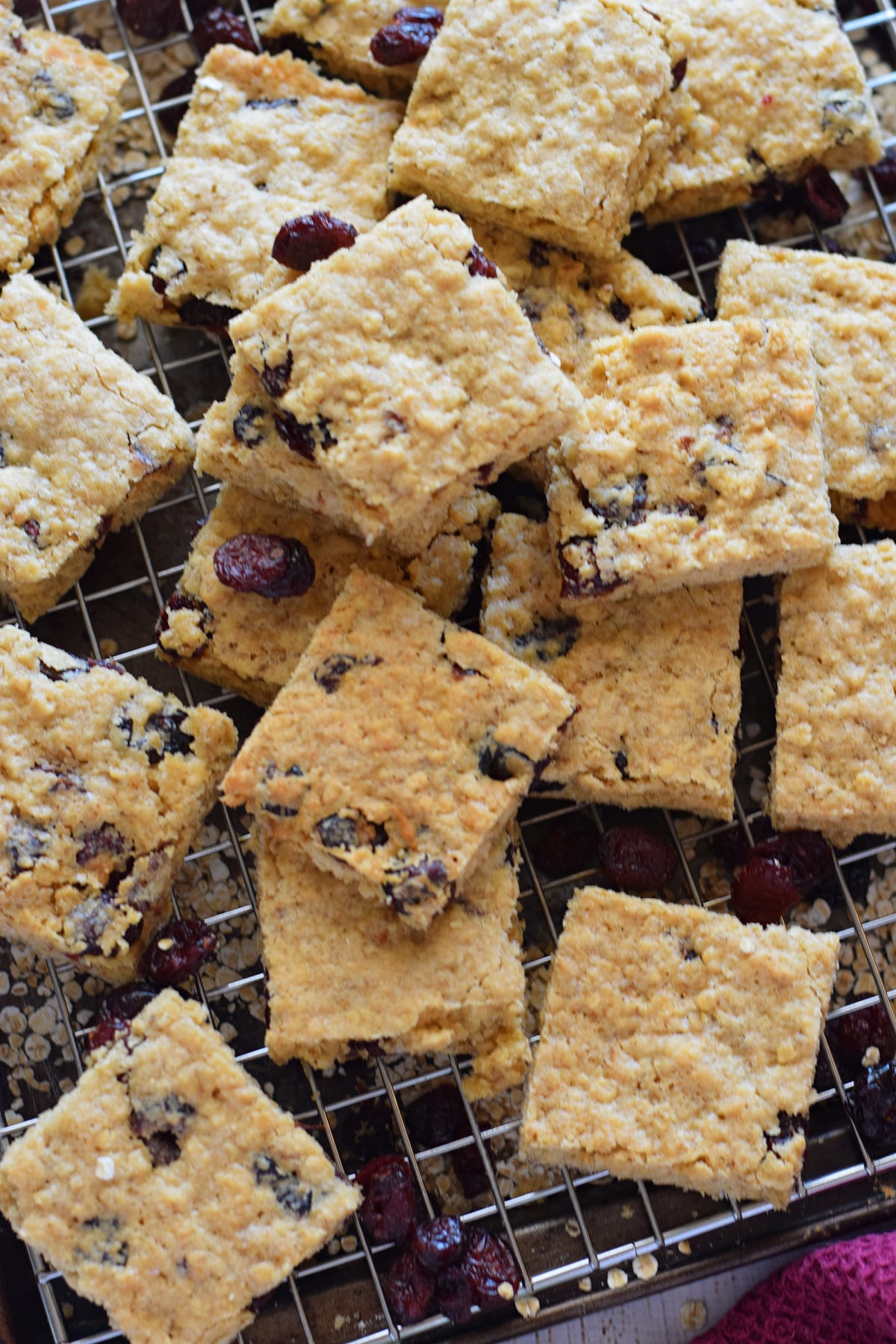 Cranberry bars with oats on a tray.